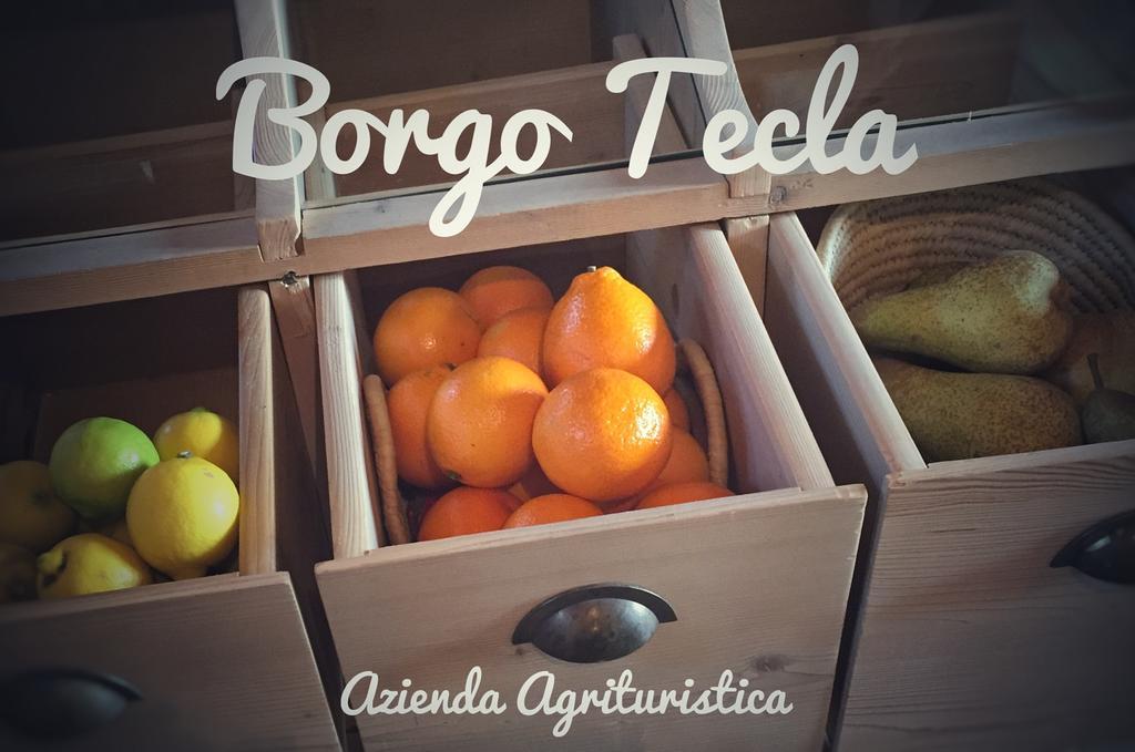 Agriturismo Borgo Tecla Rosa Ngoại thất bức ảnh