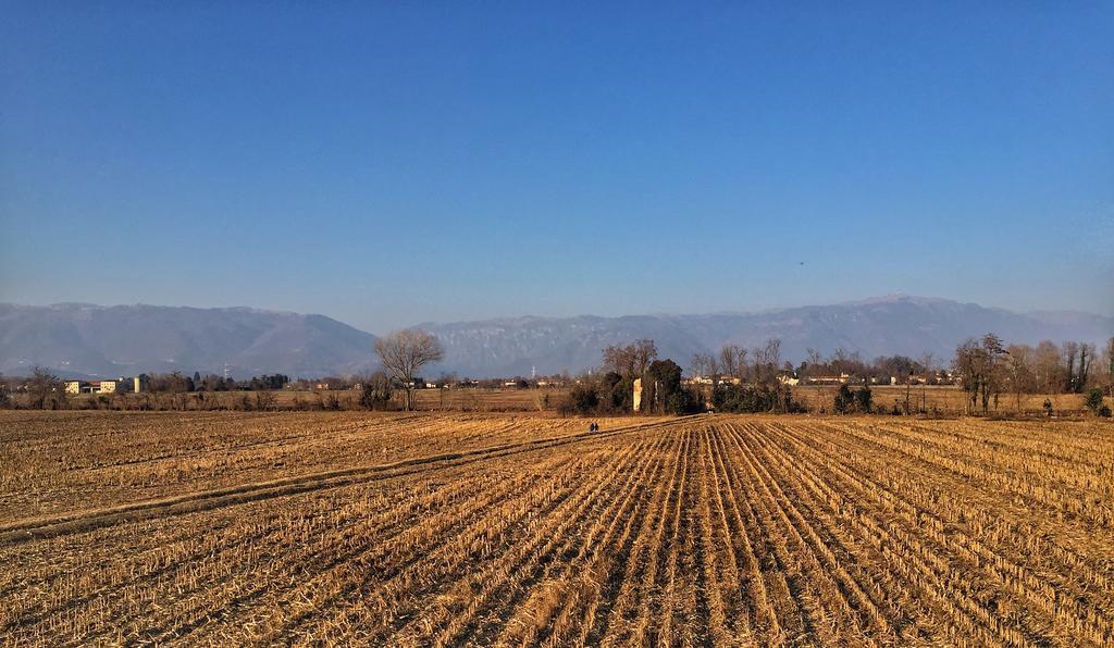 Agriturismo Borgo Tecla Rosa Ngoại thất bức ảnh