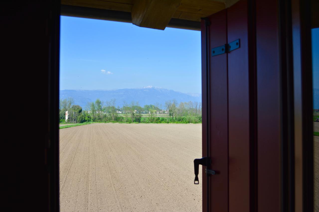 Agriturismo Borgo Tecla Rosa Ngoại thất bức ảnh