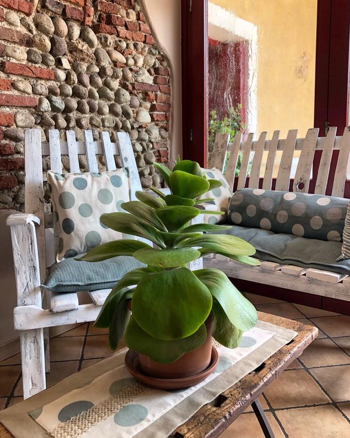 Agriturismo Borgo Tecla Rosa Ngoại thất bức ảnh